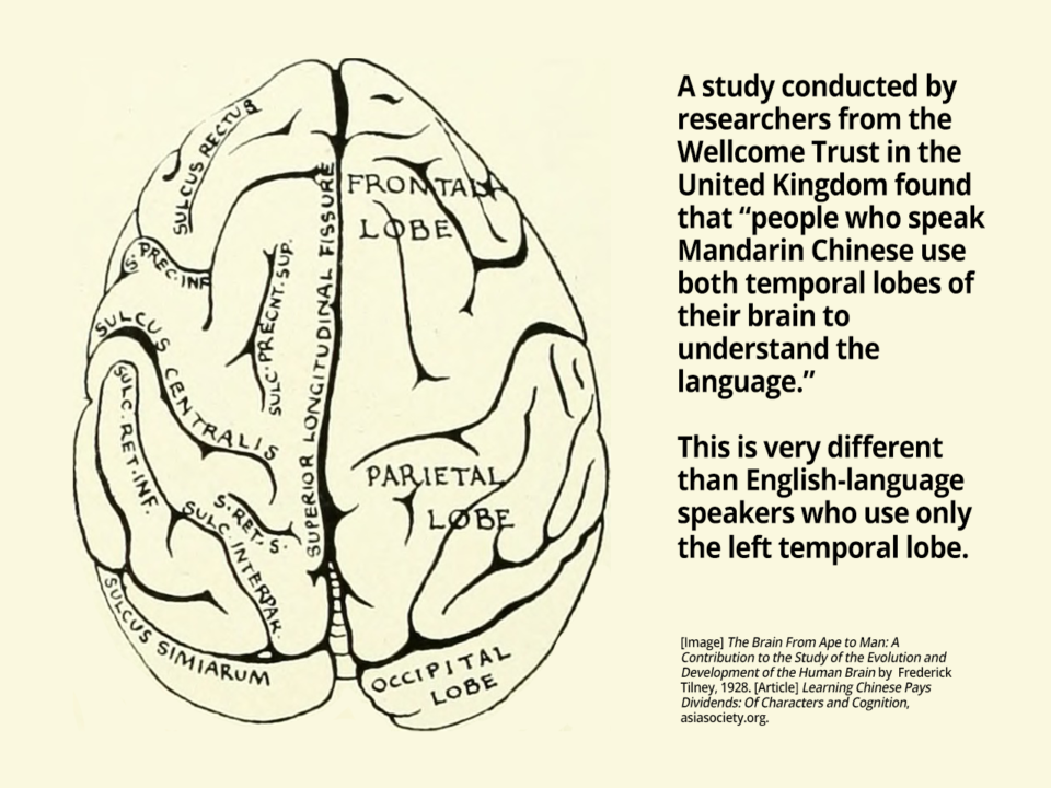 Learning Chinese is Good for Cognition | HudsonWay Immersion School
